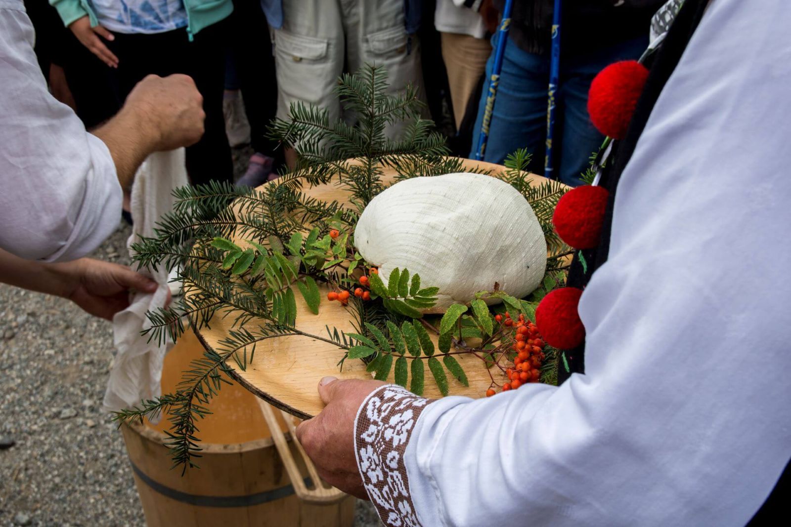 VIII Festiwal Sera Skolnity - Skolnity